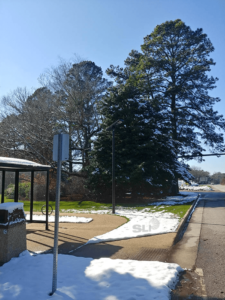 Williamsburg-Area-Transit-Authority-Bus-Stop-Solar-Light-in-Williamsburg-Virginia-view-2-min