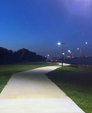 solar lights for pathway illuminating a walking path at night.